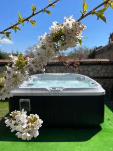 Fotografie z fotogalerie ubytování Къща за гости Александра v destinaci Dobriniště