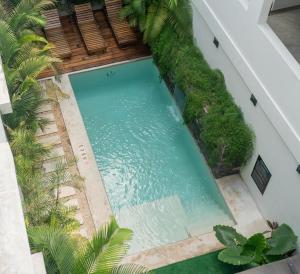 Bazén v ubytování Hotel Muyu Tulum nebo v jeho okolí