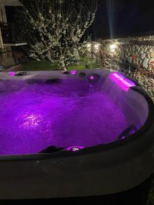 Fotografie z fotogalerie ubytování Къща за гости Александра v destinaci Dobriniště
