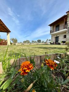 ogród z pomarańczowymi kwiatami przed domem w obiekcie My Bright House w Áfitos +37 zdjęć