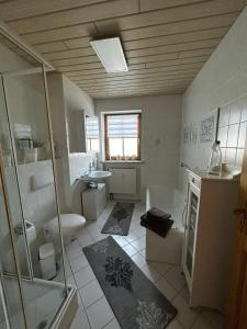 a bathroom with a shower and a toilet and a sink at Bergliebe in Germaringen