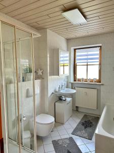 a bathroom with a toilet and a sink and a shower at Bergliebe in Germaringen