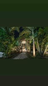 a group of palm trees in front of a building at Villa el Oasis, luxurious Santa Marta getaway in Santa Marta