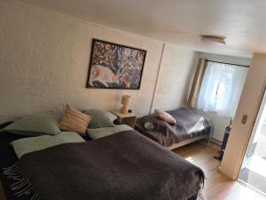 uma sala de estar com um sofá e uma cama em Trandafir Guesthouse em Egtved