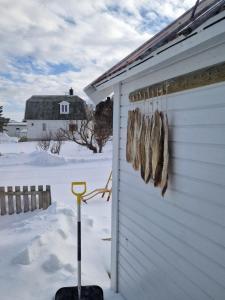 Fotografie z fotogalerie ubytování Roligheten Lodge in Andenes v destinaci Andenes + 10 fotografií