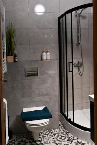 uma casa de banho com um chuveiro, um WC e uma banheira em Apartament Niezapominajka em Głuchołazy