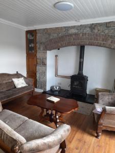 a living room with a couch and a fireplace at The Hollow in Tullow