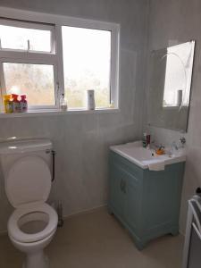 a bathroom with a toilet and a sink and a window at The Hollow in Tullow
