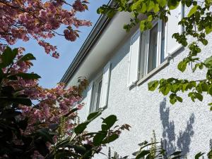 リンダウにあるLAGO Ferienwohnungen - GRÜNの窓と花の白い家