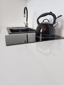 a tea kettle sitting on a counter next to a sink at Roztoczańskie Apartamenty in Zwierzyniec