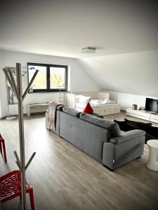 LUX Ferienwohnungen في Hepbach: غرفة معيشة مع أريكة رمادية ونافذة