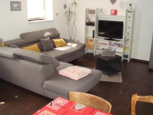 uma sala de estar com um sofá e uma televisão em Appartement F2 de 50m2 équipé à 5min de Colmar em Horbourg