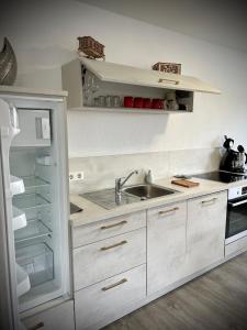 eine weiße Küche mit einer Spüle und einem Kühlschrank in der Unterkunft LUX Ferienwohnungen in Hepbach
