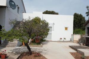 ein weißes Haus mit einem Baum davor in der Unterkunft Vera in Zadar