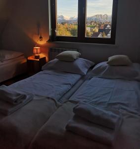 two beds in a room with a window at Apartament z widokiem na góry in Ząb