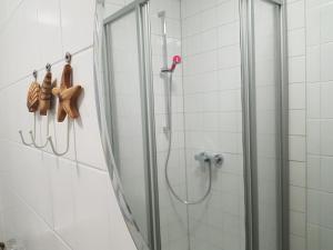 a shower in a bathroom with a glass door at Sleeptide in Husum