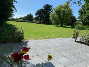 Φωτογραφία από το άλμπουμ του De Duinlopers- appt Zilt Zand- Strand, duinen en nabij cultuur steden σε Castricum