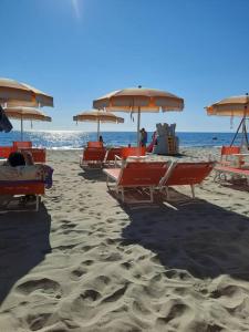 einen Strand mit Liegestühlen und Sonnenschirmen auf dem Sand in der Unterkunft Bilocale a 15 min da Alassio e Albenga in Ranzo-Borgo