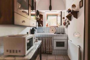 una piccola cucina con forno a microonde e piano cottura di Trulli Nonna Graziella a Locorotondo