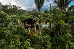 a small house in the middle of a forest at Wild Wasi Lodge - Adventures - Guided Tours in Puyo