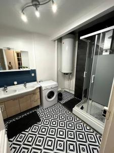 瓦朗西納的住宿－Appart 6pers centre Valenciennes，浴室配有卫生间水槽和洗衣机。