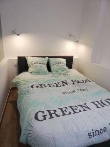 uma cama num quarto com um cobertor verde e branco em Bel appartement cœur de Grenoble tout équipé em Grenoble