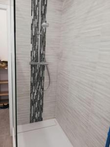 uma casa de banho com um chuveiro e uma porta de vidro em Bel appartement cœur de Grenoble tout équipé em Grenoble