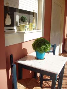 a table with a potted plant on a window sill at DIMITRA APARTMENTS in Pefki