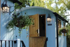 a blue tiny house with a wooden door and lights at Upper Gelli Luxury Holiday Lodge, Converted Dairy & Cosy Shepherds Huts in Welshpool