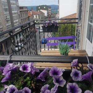 Precioso piso en el centro de Galicia. في سييدا: شرفة بها زهور أرجوانية ومقعد أرجواني