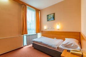 um quarto com uma cama, uma secretária e uma janela em Hotel Park em Čakovec
