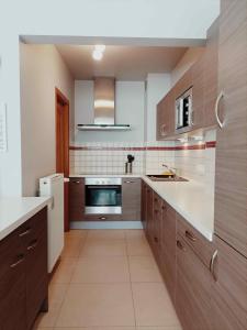 une grande cuisine avec des placards en bois et un évier dans l'établissement Cozy 2 bedroom apartment - metro Montgomery, à Bruxelles