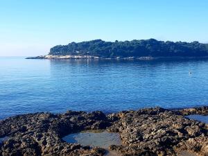 an island in the middle of a body of water at Apartmani Val in Pula