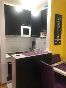 a kitchen with black cabinets and a counter top at Apartman Tanjuška in Podgorica