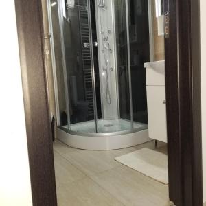 La salle de bains est pourvue d'une douche en verre. dans l'établissement Pensiunea Agroturistica Acvila Apusenilor, à Vadu Moţilor