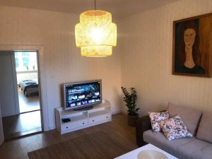 uma sala de estar com uma televisão e um sofá em Apartament BROWARNY em Ostrów Wielkopolski