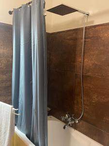 um chuveiro com uma cortina de chuveiro azul na casa de banho em Numero 6 em Todi