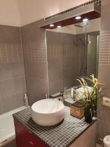uma casa de banho com um lavatório e um espelho em superbe appartement em Châtillon