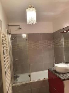 uma casa de banho com um chuveiro e um lavatório. em superbe appartement em Châtillon