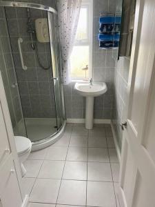 ein Bad mit einer Dusche, einem WC und einem Waschbecken in der Unterkunft Tullybrannigan Cottage Newcastle in Newcastle