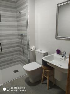 a bathroom with a toilet and a sink and a shower at O RECUNCHO DE BERE in Ribadeo