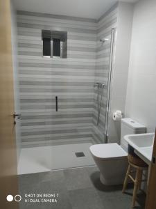 een badkamer met een douche, een toilet en een wastafel bij O RECUNCHO DE BERE in Ribadeo