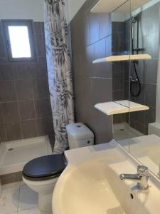 La salle de bains est pourvue d'un lavabo, de toilettes et d'une fenêtre. dans l'établissement Jolie petite maison Avignon - Montfavet, à Montfavet