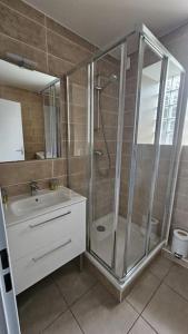 ein Bad mit einer Dusche und einem Waschbecken in der Unterkunft Les Mouettes in Thonon-les-Bains