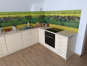 a kitchen with white cabinets and a green wall at Apartament Osak in Stare Juchy