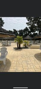 a stone patio with a white bench and a tree at Mobilhome Luminosa tt équipé 6/8 pers in Les Mathes