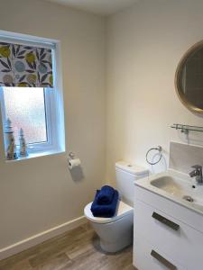 a bathroom with a toilet and a sink and a window at Comfortable new home in Isleham in Ely