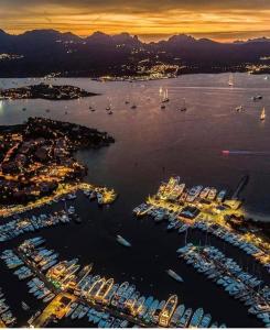 uma vista aérea de um porto com muitos barcos em Apartment in Via del Molo, Porto Rotondo em Porto Rotondo