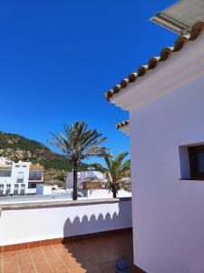 - une vue depuis le balcon d'une maison avec des palmiers dans l'établissement Hostal Jadraza, à Zahara de los Atunes