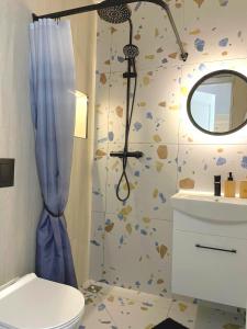 a bathroom with a shower and a toilet and a mirror at Apartamentai centre in Klaipėda